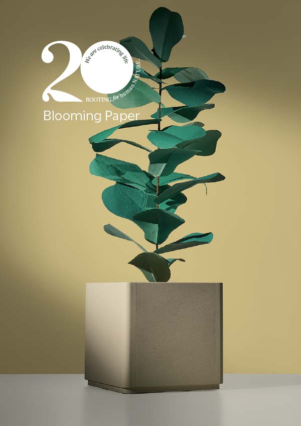 Matching pot and plantbox