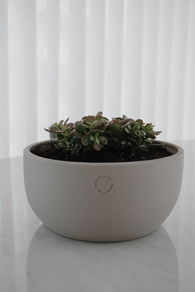 Feng Shui